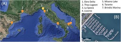 Salinity-mediated limitation of asexual reproduction in the colonial ascidian Polyandrocarpa zorritensis